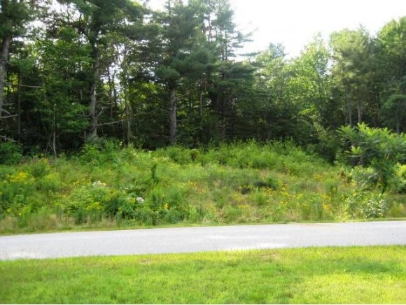 8 C Bernard Road Strafford, NH 03884 - Photo 1 of 1