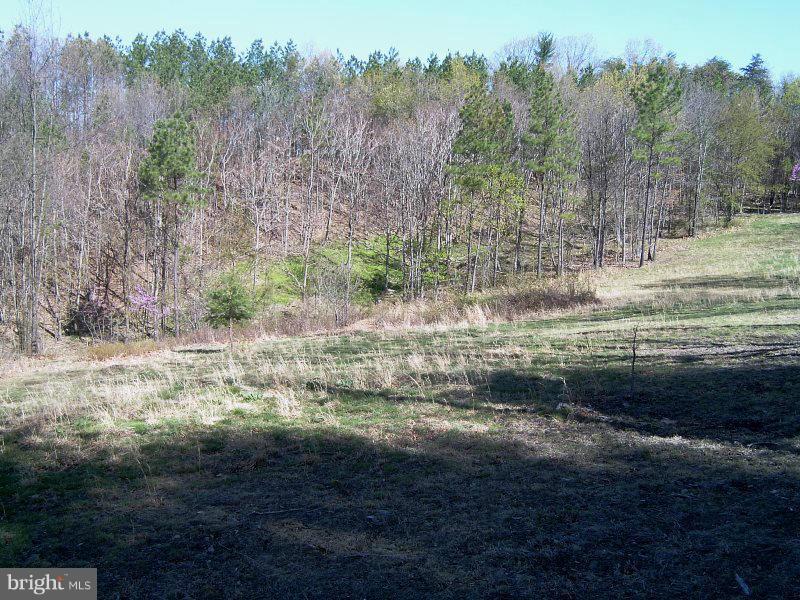 0 Culp Road Berkeley Springs, WV 25411 - Photo 8 of 9 View