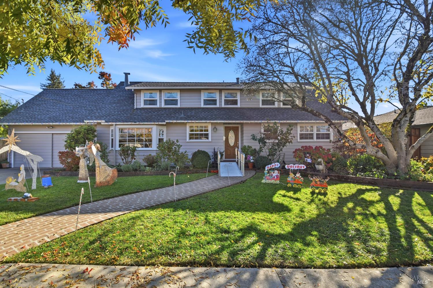 Welcome to Christmas Tree Lane!