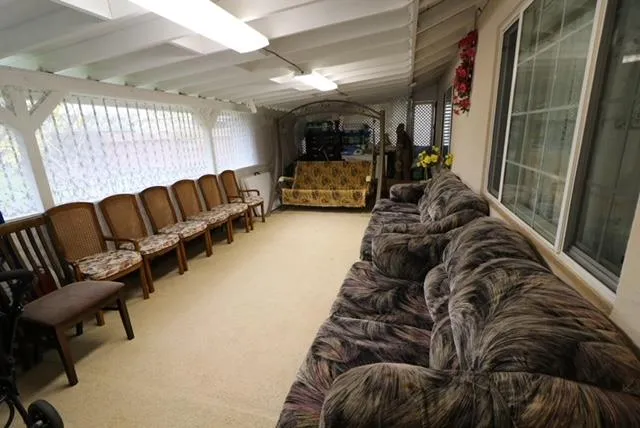 a view of a garden from a patio