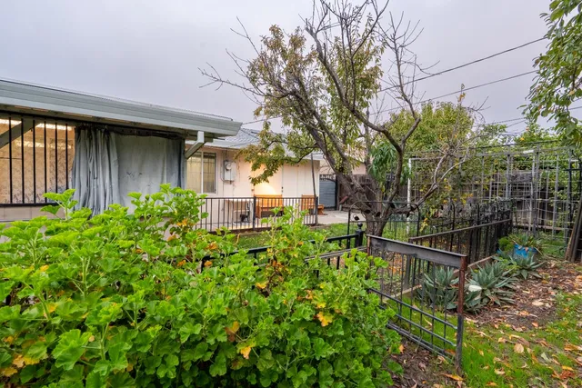a view of a backyard with couches plants and large tree