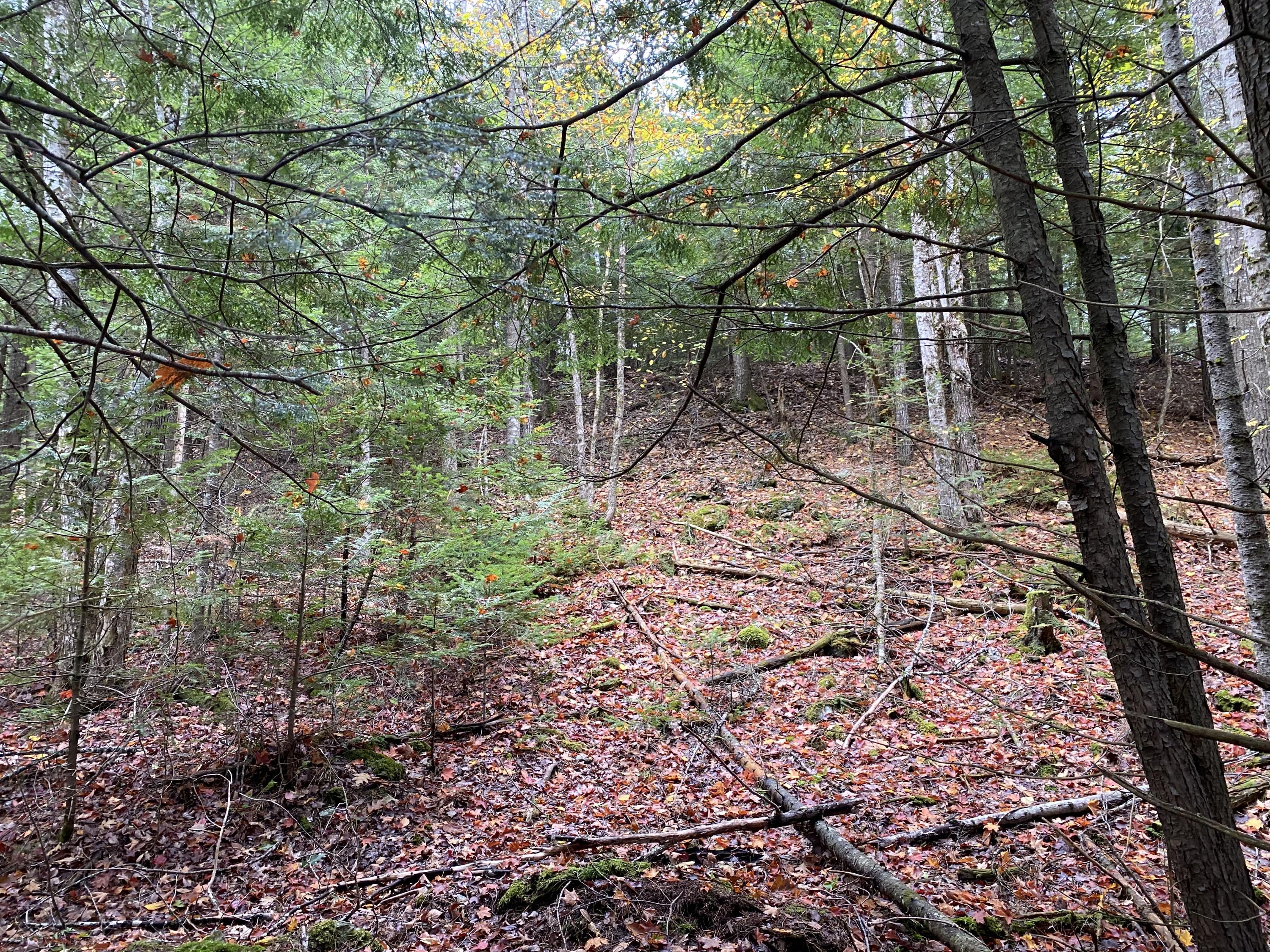 Lot 50 Lot Road Holden, ME 04429 - Photo 16 of 19 50B Upper Dedham Road