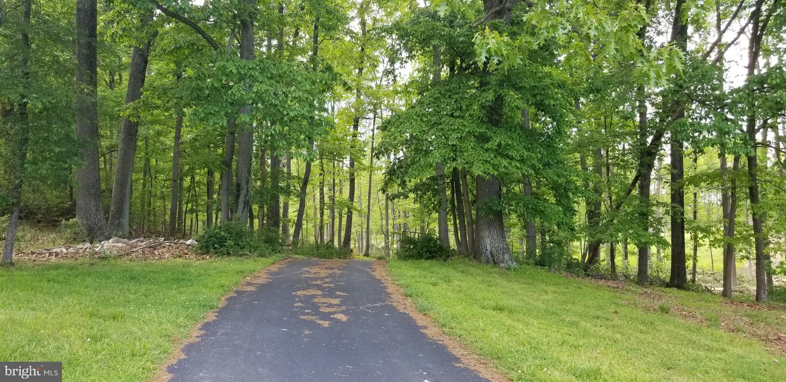 5701 Etzler Road Frederick, MD 21702 - Photo 50 of 60 Scenic driveway