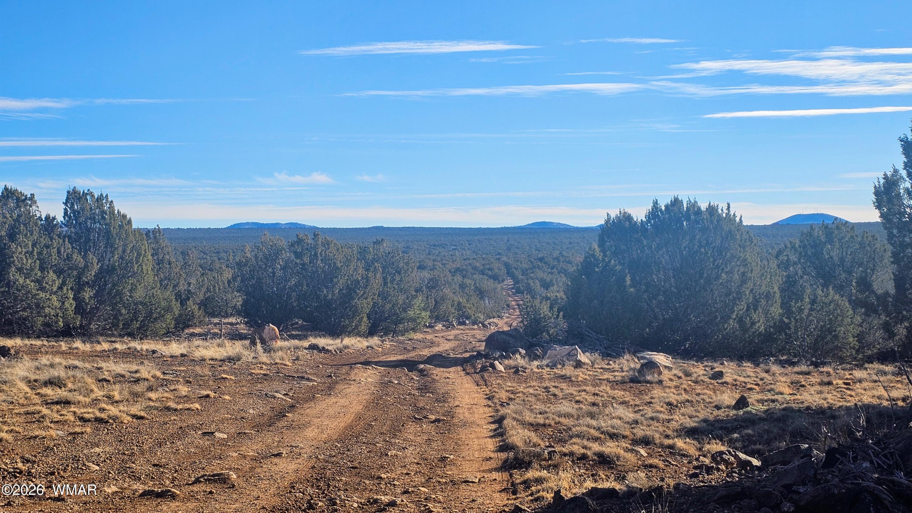 Tbd Tbd Coral Road Show Low, AZ 85901 - Photo 1 of 19 20260119_153449~2