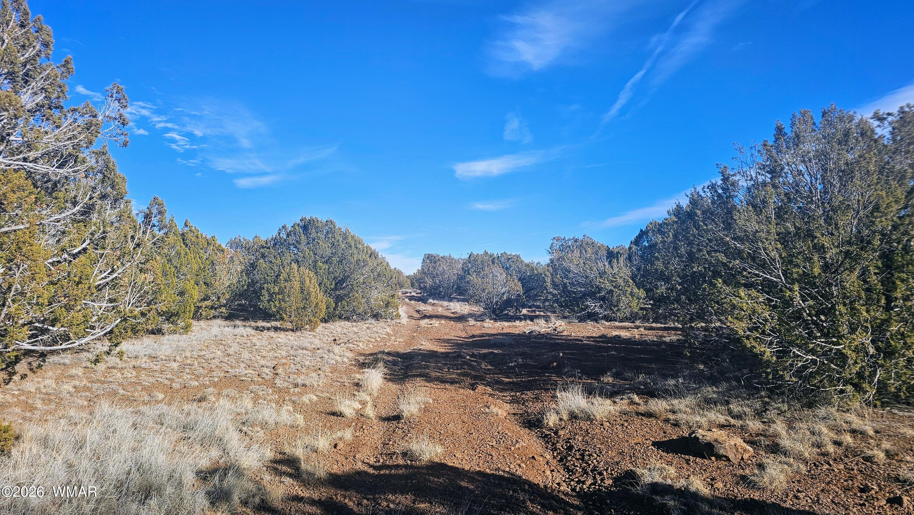 Tbd Tbd Coral Road Show Low, AZ 85901 - Photo 4 of 19 20260119_153541~2