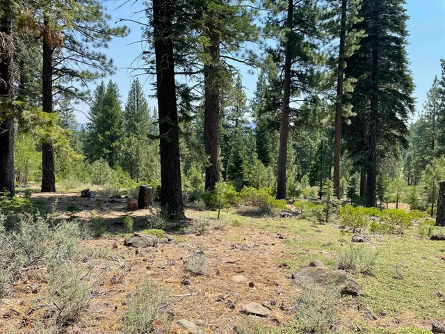 a view of outdoor space with trees