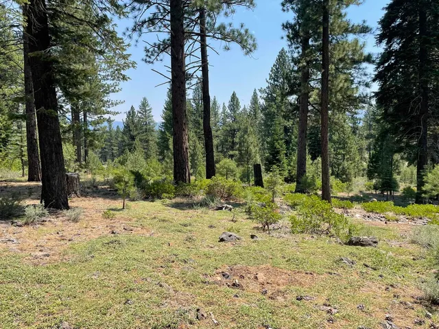 a fire hydrant in the middle of a yard