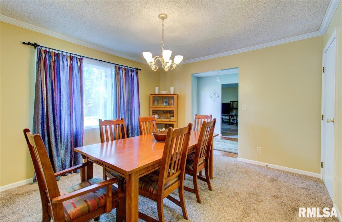 314 Brandywine Road Springfield, IL 62704 - Photo 10 of 40 Gallery Image 10