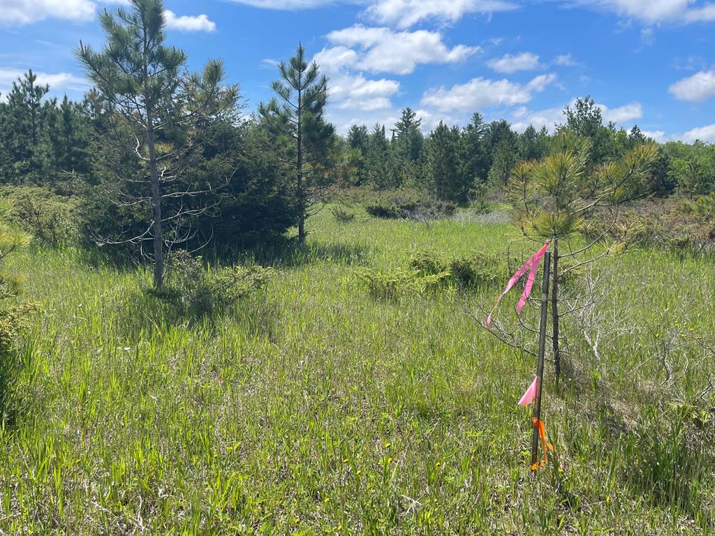 Tbd West Meadow Road Fish Creek, WI 54212 - Photo 3 of 10