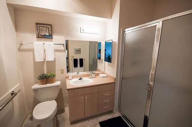 a bathroom with a sink a toilet a mirror a vanity and shower