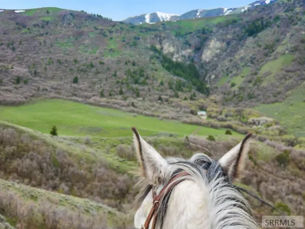 $3,999,000 | 6902 West Clifton Basin Road, Clifton, ID 83228