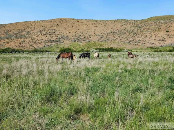 $3,999,000 | 6902 West Clifton Basin Road, Clifton, ID 83228