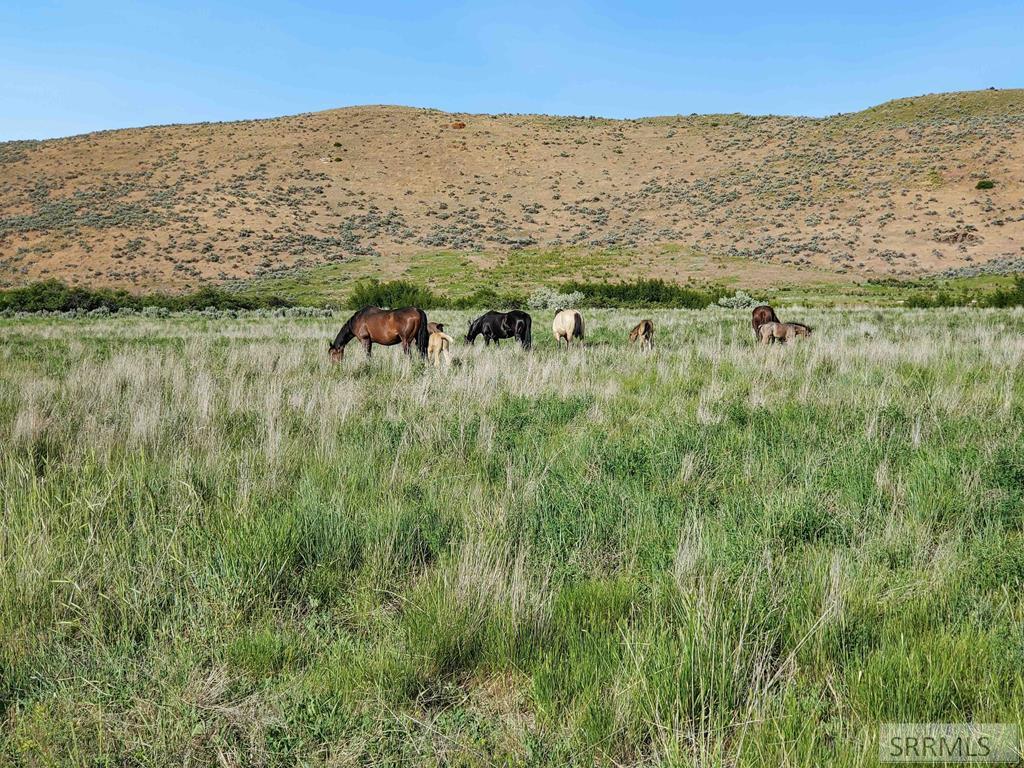 6902 West Clifton Basin Road Clifton, ID 83228 - Photo 38 of 62
