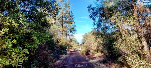 a view of outdoor space and a yard