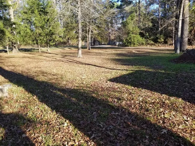 a view of dirt yard with a large tree