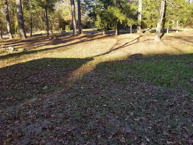 a view of a yard with plants and trees
