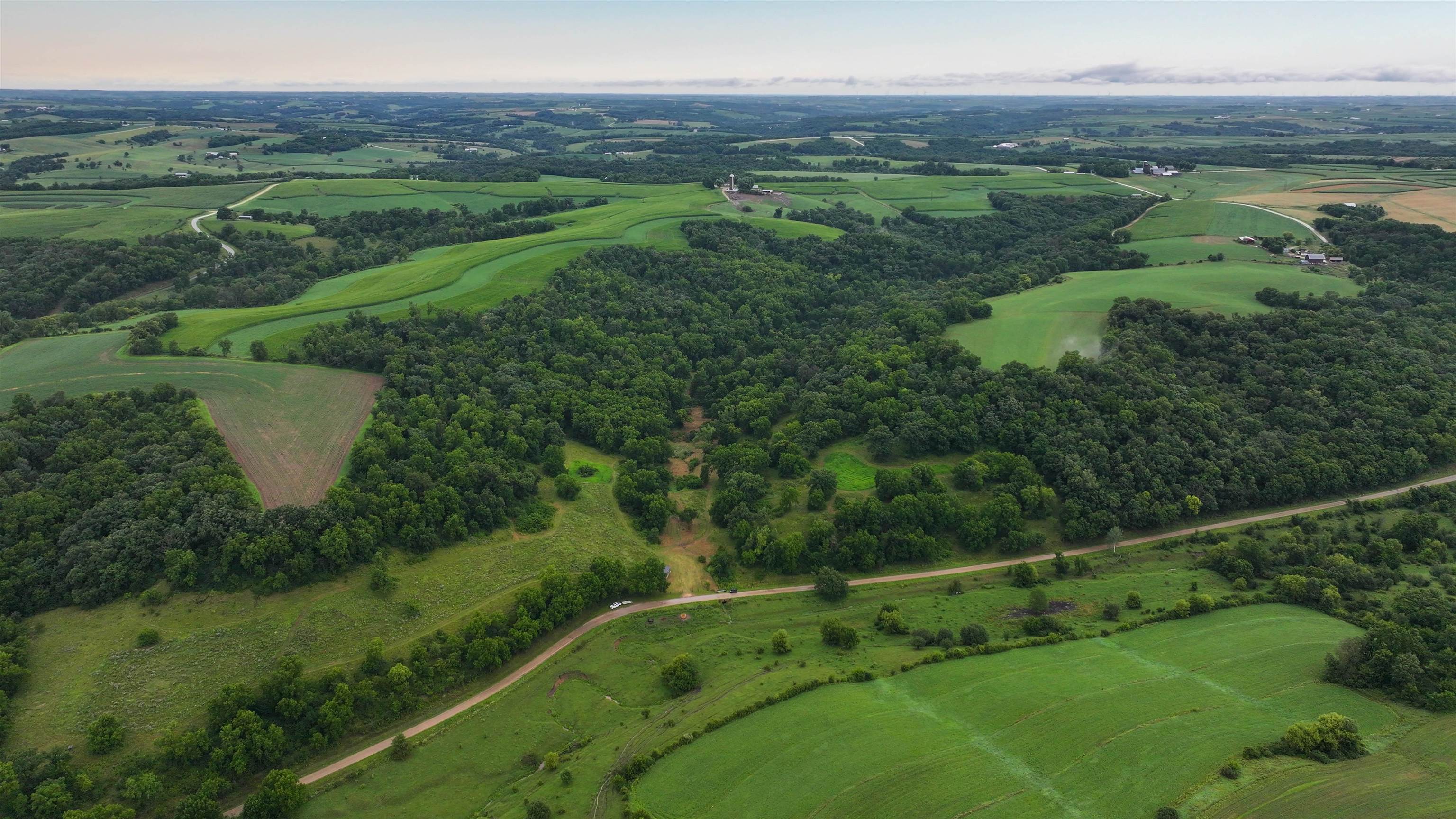 75-acres Cannon Road Lancaster, WI 53813 - Photo 21 of 59