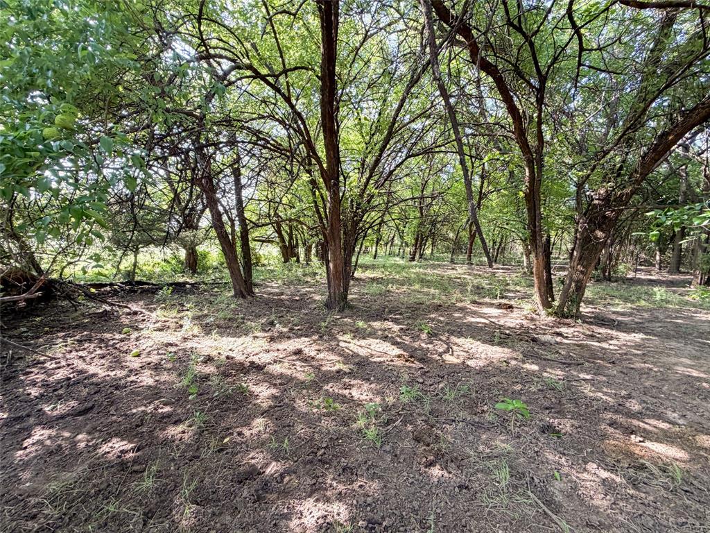 Tbd Carminati Road Montague, TX 76251 - Photo 26 of 32
