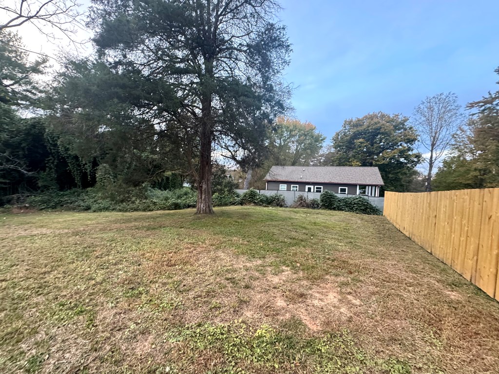 30 McClure Road Epworth, GA 30541 - Photo 4 of 27 a view of a house with backyard and trees
