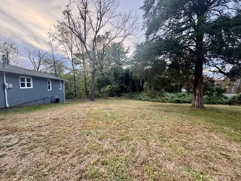 30 McClure Road Epworth, GA 30541 - Photo 5 of 27 a view of a house with a yard