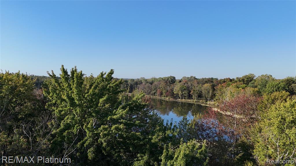 0 Chapman Road Stockbridge, MI 49285 - Photo 9 of 20