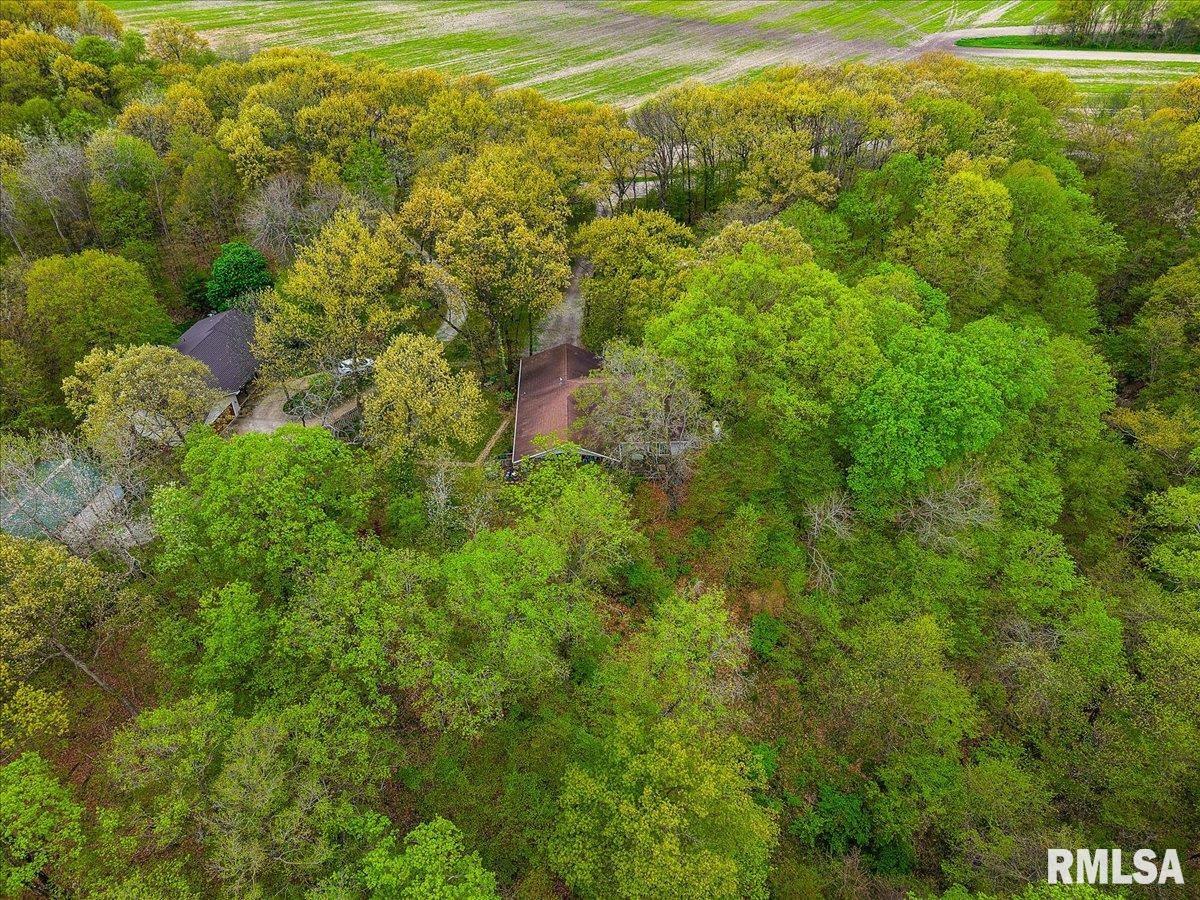 656 Coon Creek Road Metamora, IL 61548 - Photo 34 of 50
