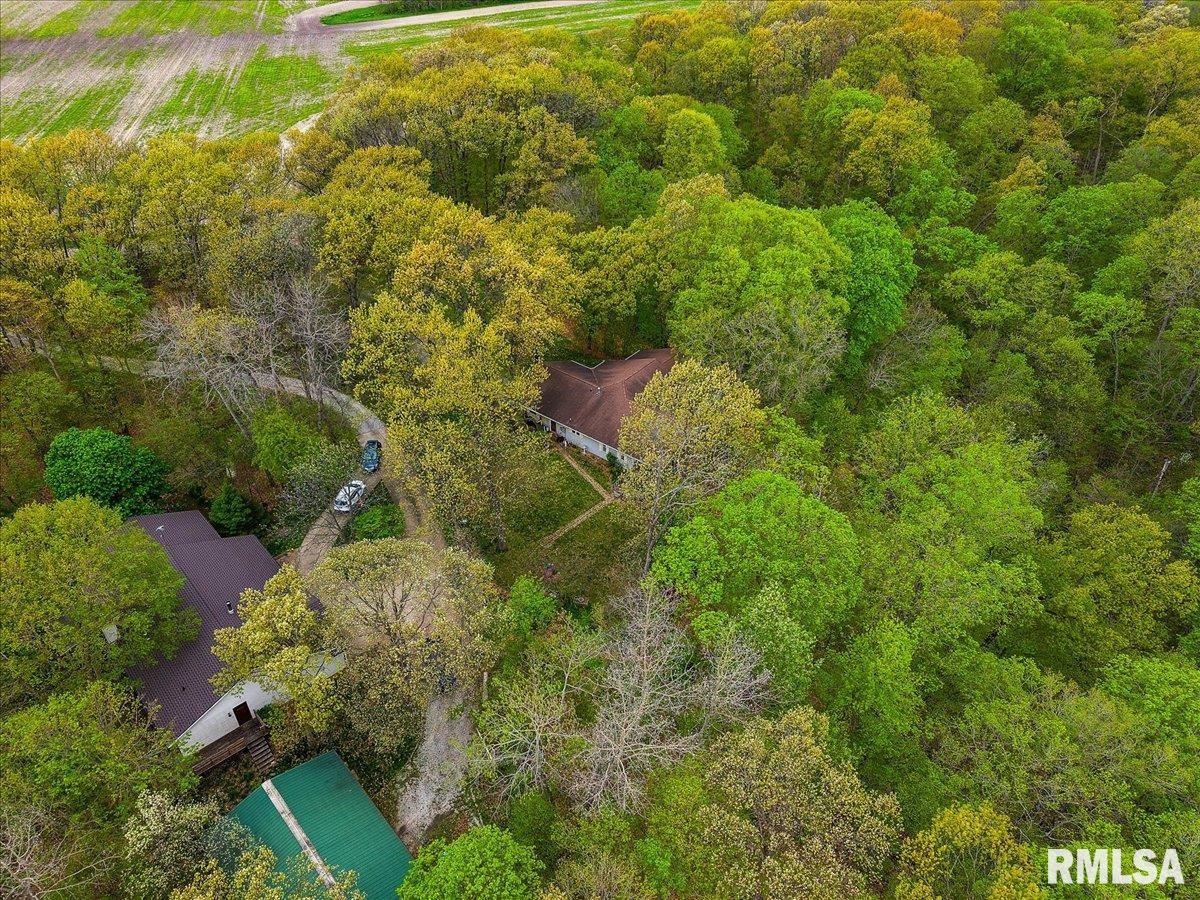 656 Coon Creek Road Metamora, IL 61548 - Photo 35 of 50