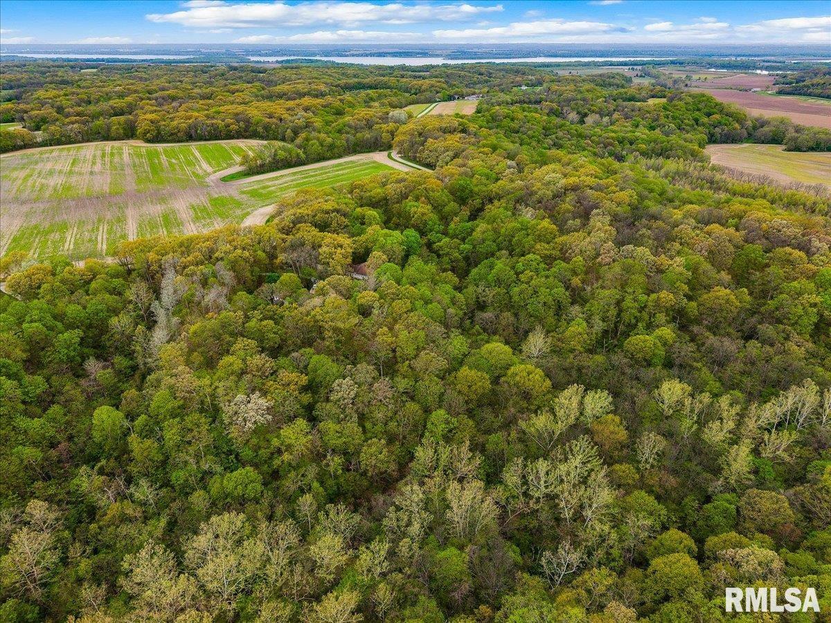 656 Coon Creek Road Metamora, IL 61548 - Photo 41 of 50