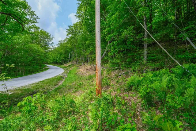 $50,000 | 0 East Ash Road, Plymouth, VT 05056