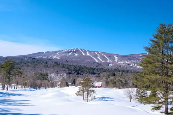 $50,000 | 0 East Ash Road, Plymouth, VT 05056