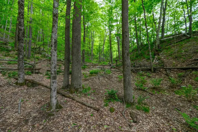 $50,000 | 0 East Ash Road, Plymouth, VT 05056