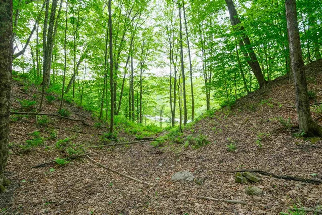 $50,000 | 0 East Ash Road, Plymouth, VT 05056