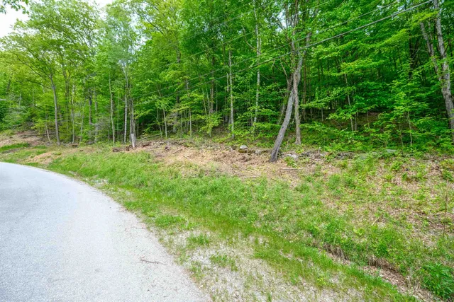 $50,000 | 0 East Ash Road, Plymouth, VT 05056