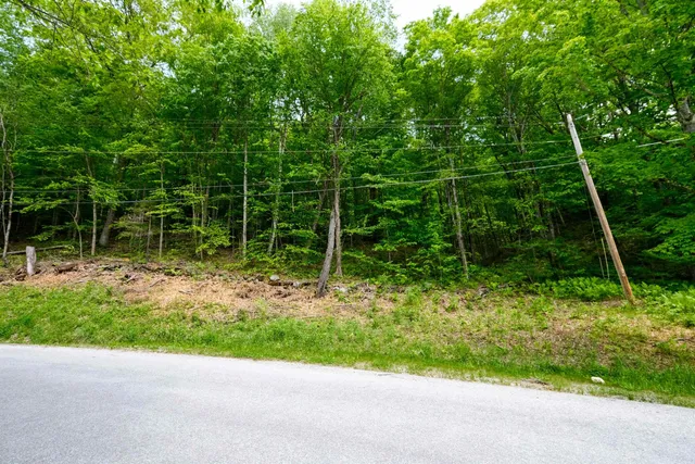 $50,000 | 0 East Ash Road, Plymouth, VT 05056