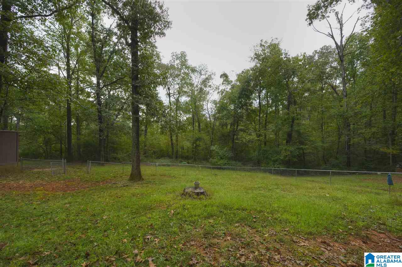 6125 Mountain Ridge Road Trussville, AL 35173 - Photo 7 of 28