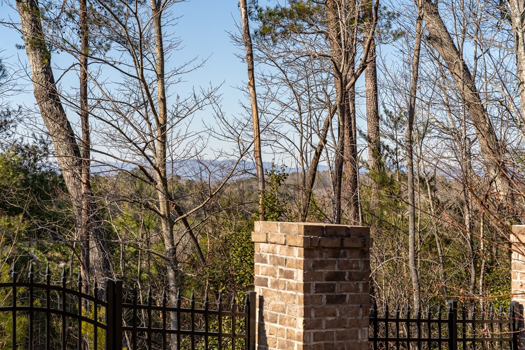 96 Morgan Trail Ellijay, GA 30536 - Photo 14 of 48 a backyard of a house