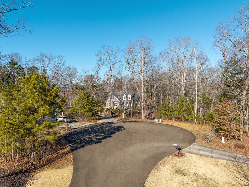 96 Morgan Trail Ellijay, GA 30536 - Photo 5 of 48 a view of a road with a building in the background