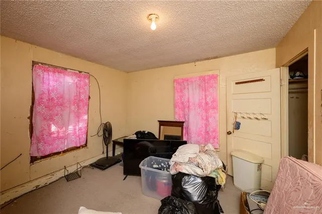 a room with furniture a rug and a closet