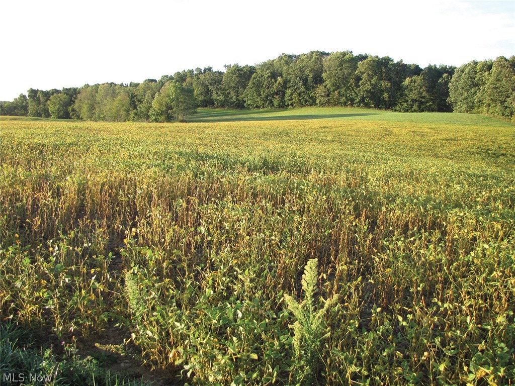 Arrow Road Northwest Minerva, OH 44657 - Photo 2 of 2 Gallery Image 2
