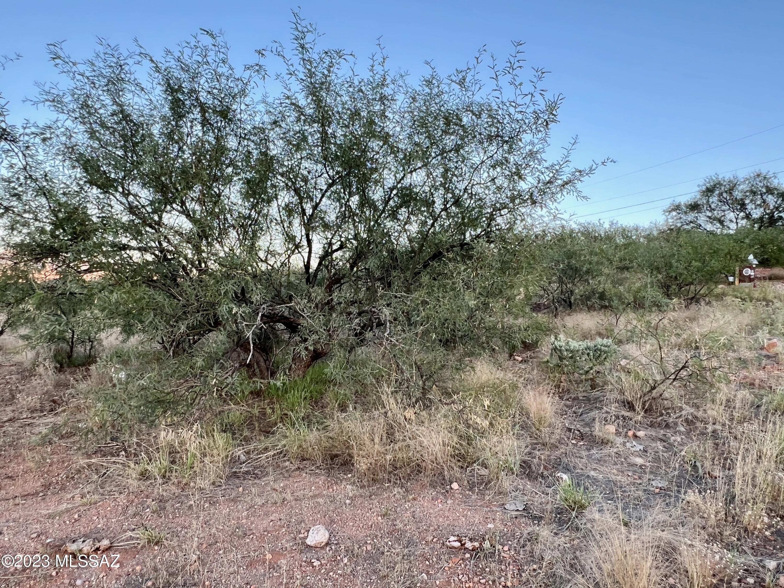 1197 Circulo Golfo, Unit 65 Rio Rico, AZ 85648 - Photo 9 of 16