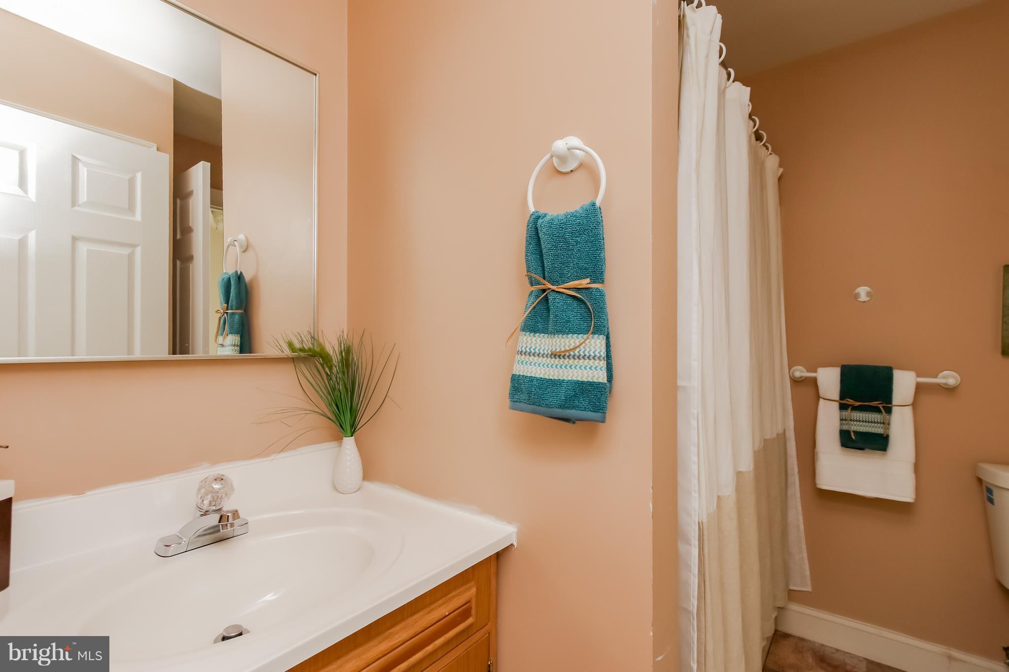 1106 Burke Road Baltimore, MD 21220 - Photo 22 of 30 Bath (Master)