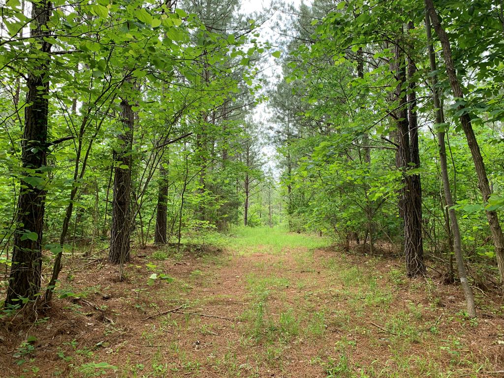 Cove Road Clover, VA 24534 - Photo 1 of 22 Gallery Image 1