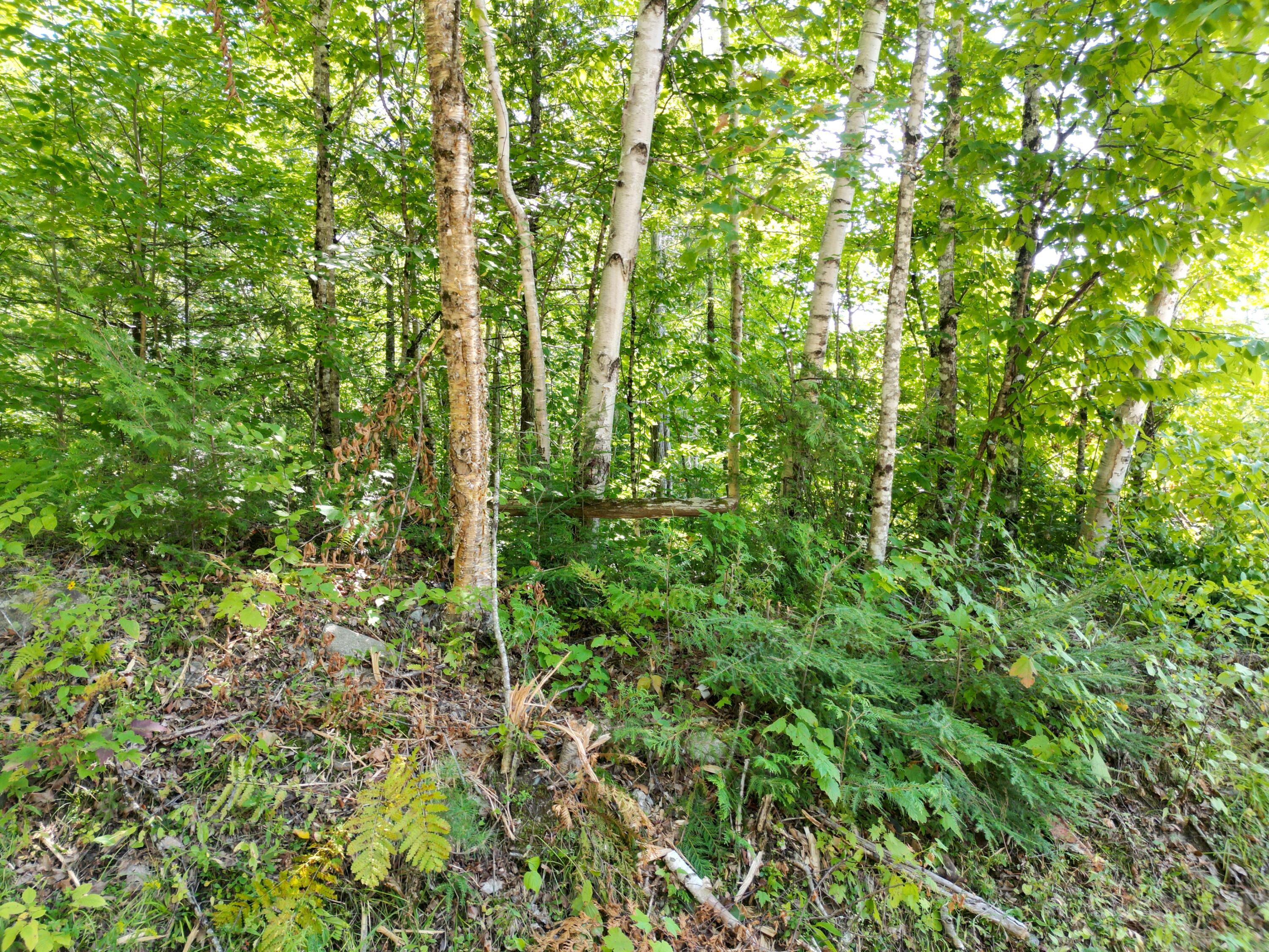 Lot 5 Dirty Glove Road Springfield, ME 04487 - Photo 14 of 19 DJI_0053