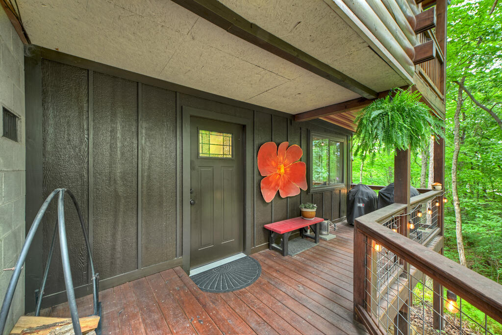 9 Casey Court Blue Ridge, GA 30513 - Photo 39 of 52 Gallery Image 39