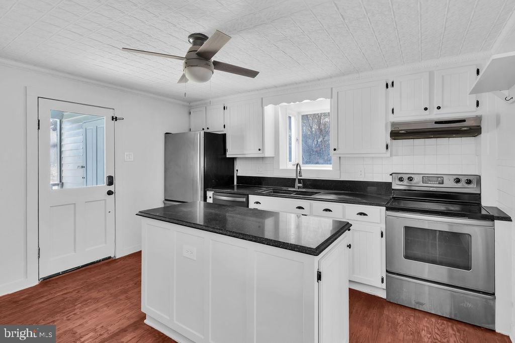 496 Frenchman Pond Road Fort Valley, VA 22652 - Photo 14 of 77 Updated kitchen with tin ceiling
