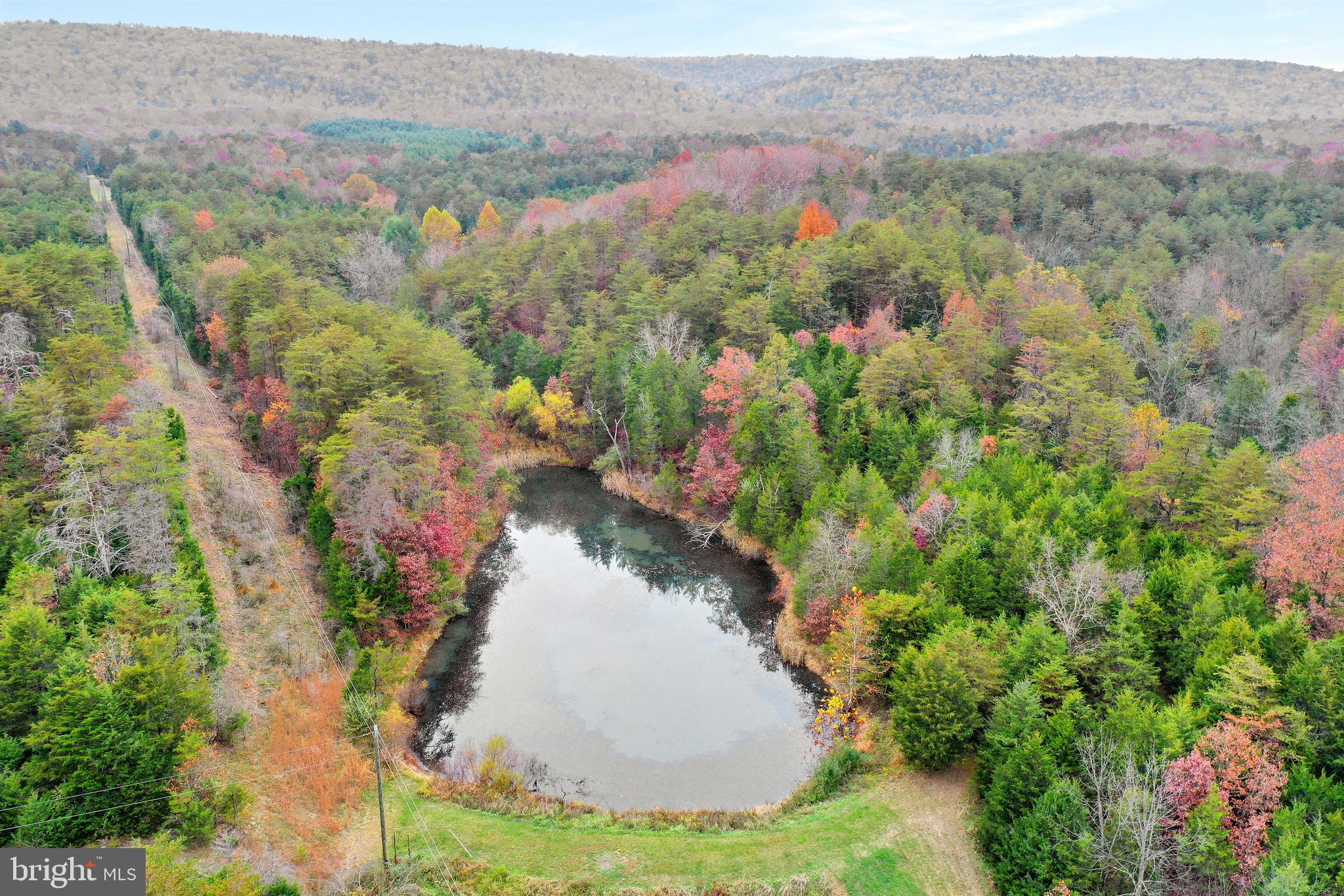 496 Frenchman Pond Road Fort Valley, VA 22652 - Photo 32 of 77 Large stocked pond