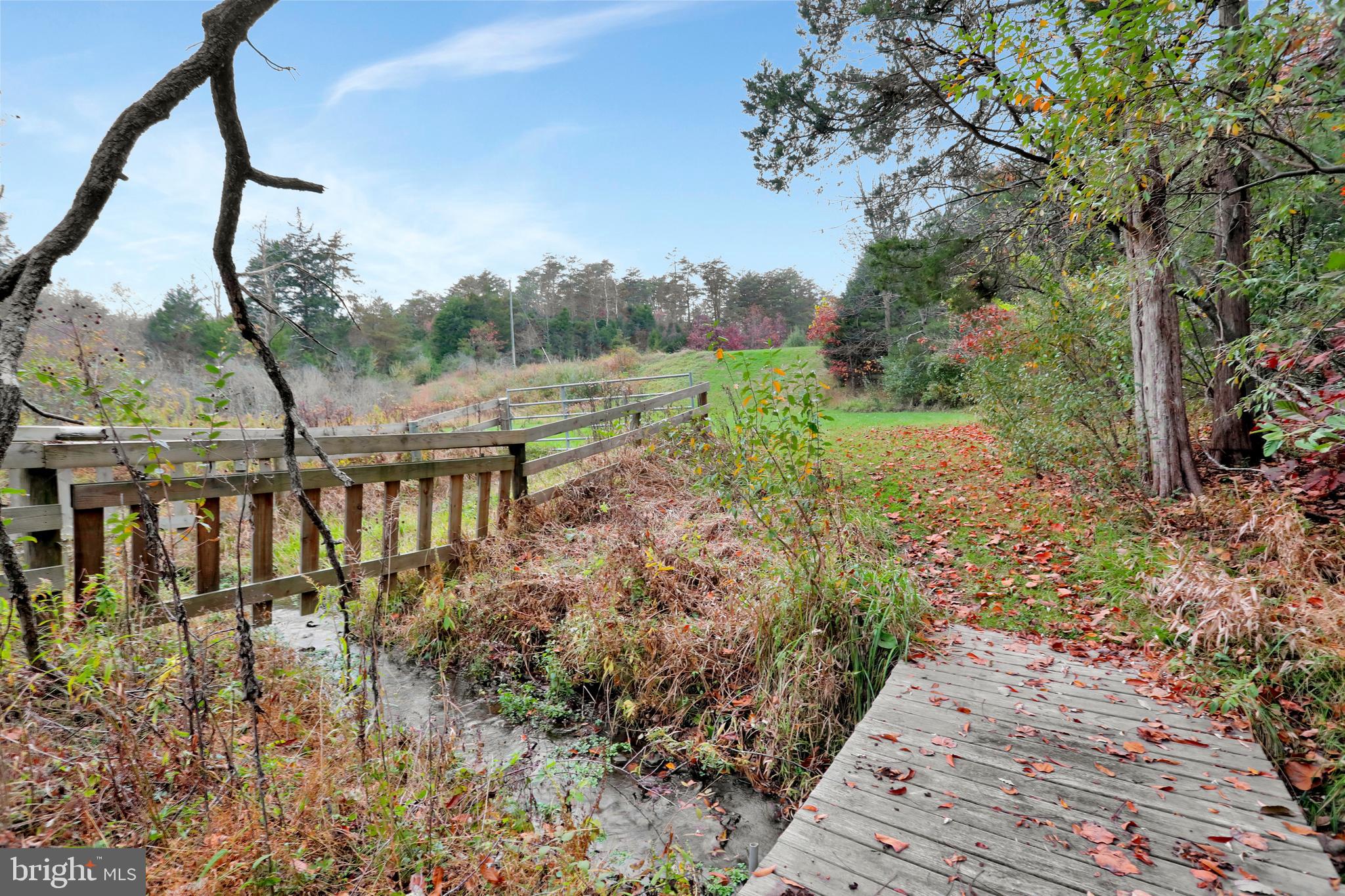 496 Frenchman Pond Road Fort Valley, VA 22652 - Photo 34 of 77 Year round stream
