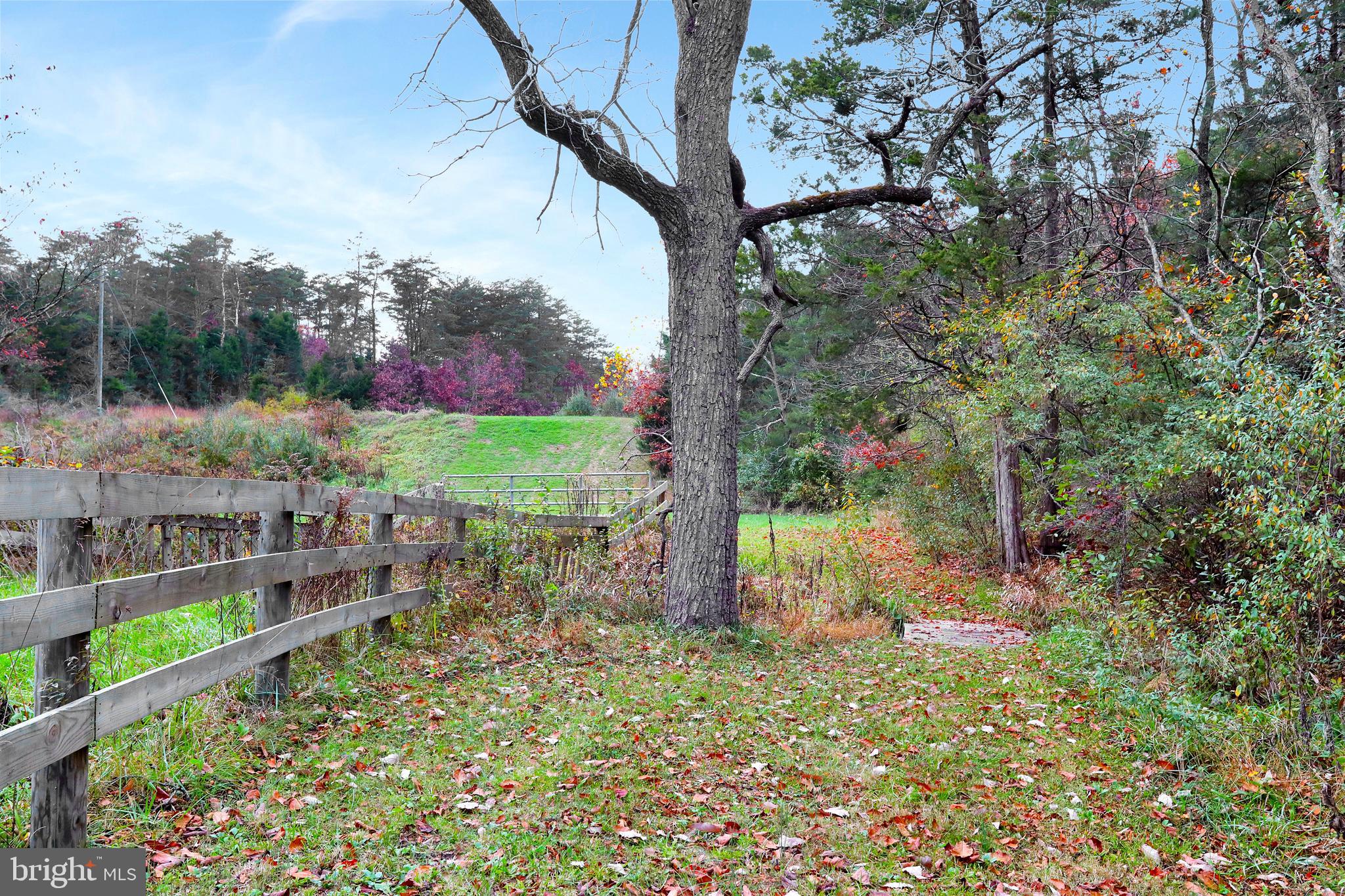496 Frenchman Pond Road Fort Valley, VA 22652 - Photo 50 of 77 Gallery Image 50