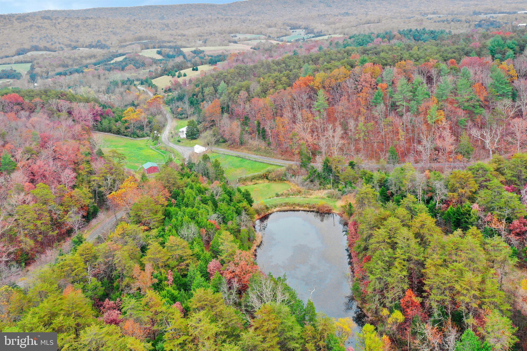 496 Frenchman Pond Road Fort Valley, VA 22652 - Photo 6 of 77 Gallery Image 6