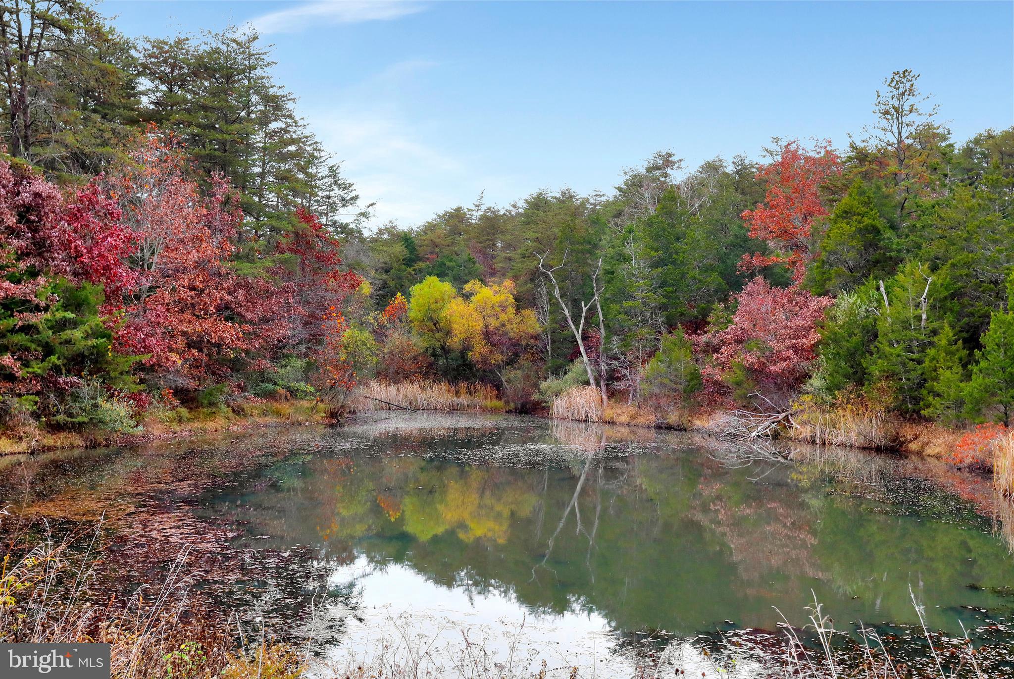 496 Frenchman Pond Road Fort Valley, VA 22652 - Photo 7 of 77 Your very own fishing pond